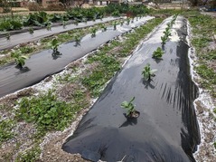 PXL_20221218_000920690