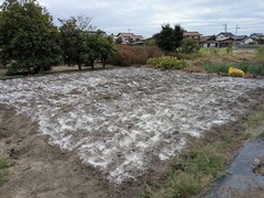 PXL_20251007_060313035