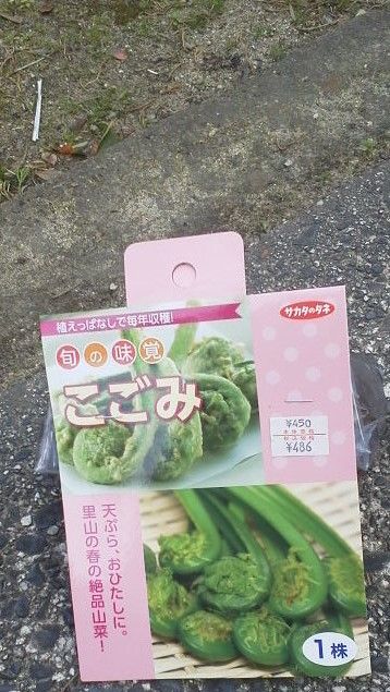 イメージ 2