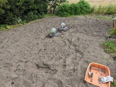 PXL_20240522_070627300