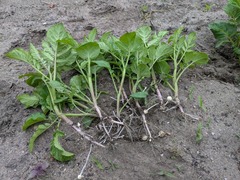 PXL_20250427_223940740