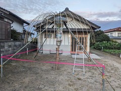 PXL_20241017_212542289