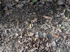 PXL_20240923_225216343