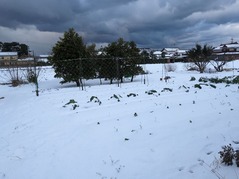 PXL_20230125_230107563