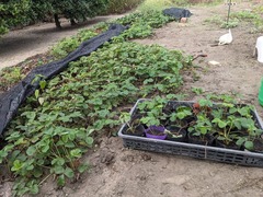 PXL_20240918_235744130