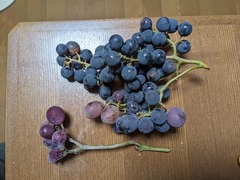 PXL_20241122_090625553