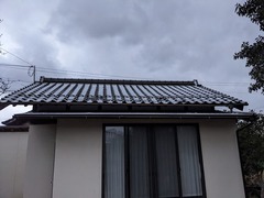 PXL_20231216_220710744.MP