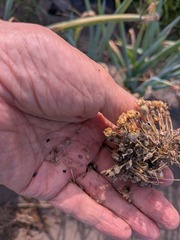 PXL_20250721_224930393