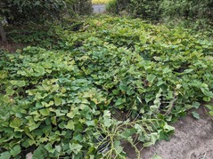 PXL_20240902_222838007