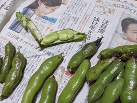 PXL_20210514_224629923