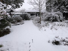 PXL_20250222_221420039.MP