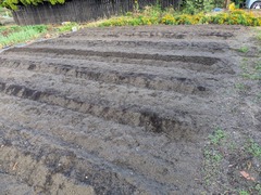 PXL_20251014_225846298