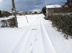 PXL_20230124_231259709