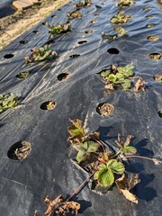 PXL_20250214_020331817