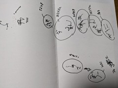 PXL_20250129_104308997