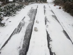 PXL_20220216_231305432