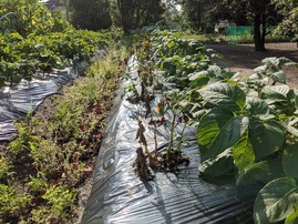 PXL_20210514_223926948