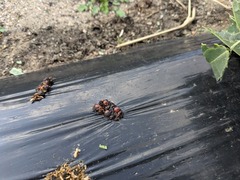 PXL_20250214_011236676