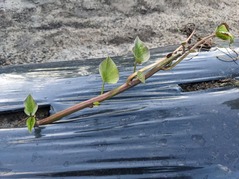 PXL_20230523_214228761