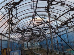 PXL_20241223_074224265.PORTRAIT