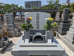 PXL_20230728_050242099