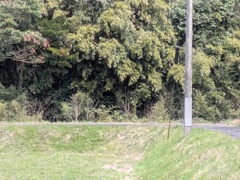 PXL_20260330_044340791