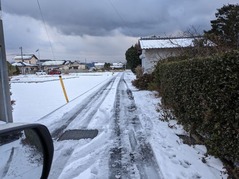 PXL_20230125_230242138