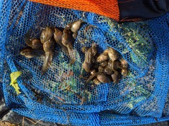 PXL_20220526_220921450