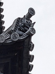 PXL_20241117_055314062