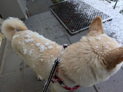 PXL_20260120_224720792