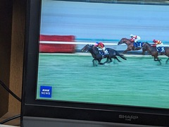 PXL_20241222_102638137.MP