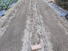 PXL_20220207_072052760