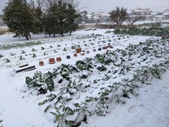 PXL_20211225_231409428