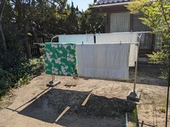 PXL_20240723_061016511