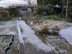 PXL_20250218_224328110