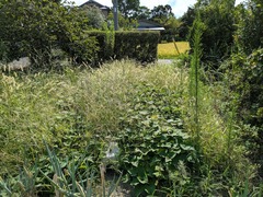 PXL_20250824_000058902