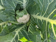 PXL_20220211_060823830