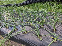 PXL_20211224_232031915