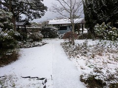 PXL_20260102_032349807