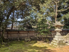 PXL_20230311_012814250