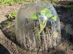 PXL_20230603_074256754