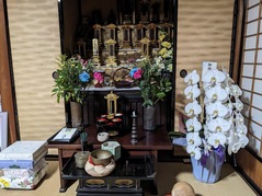 PXL_20230728_111902189