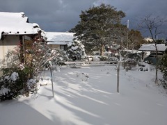 PXL_20260208_064019247