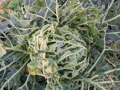 PXL_20211223_071627464