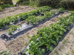 PXL_20230414_010405807