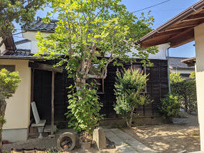 PXL_20210607_065216698