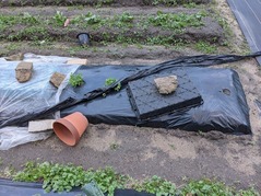 PXL_20211219_074317098.MP