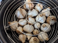 PXL_20240607_033109350.MP