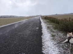 PXL_20231220_222232685