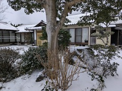 PXL_20250207_230810977